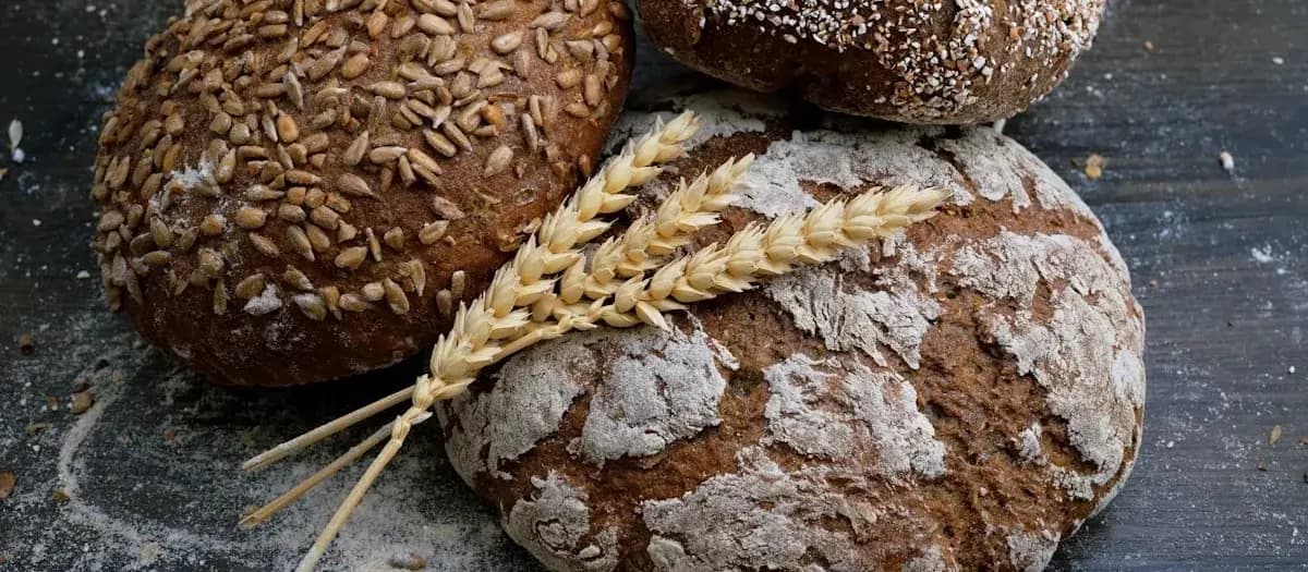 Site web Boulangerie — ADN IA